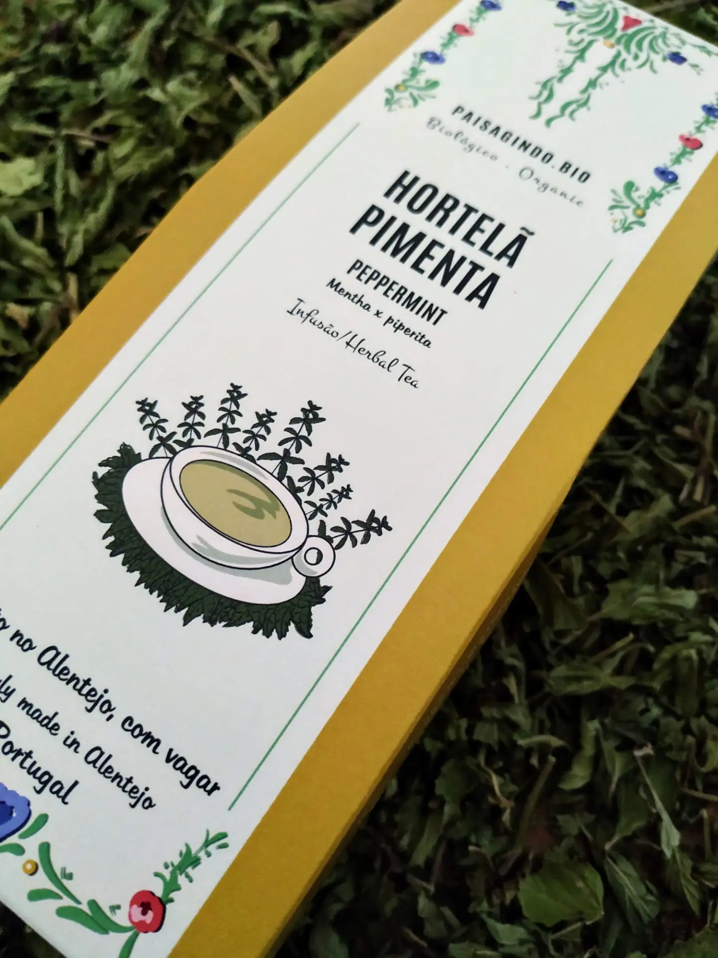 Infusão Hortelã Pimenta - Paisagindo Loja do Castro