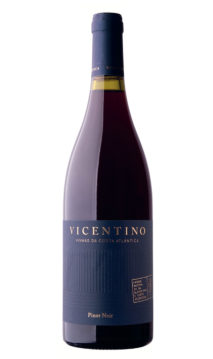 Vinho Vicentino Tinto Pinot Noir 